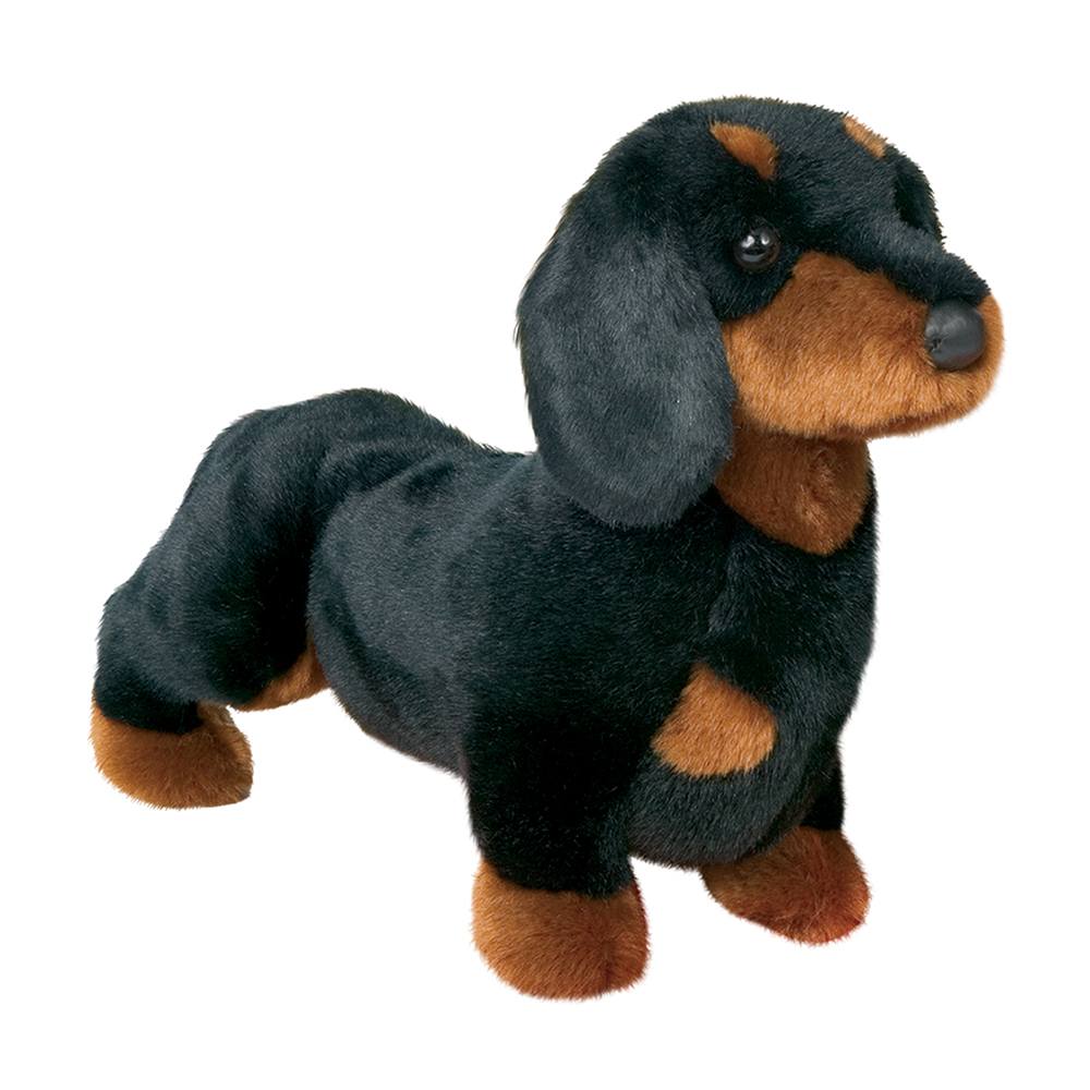Dachshund Black Spat