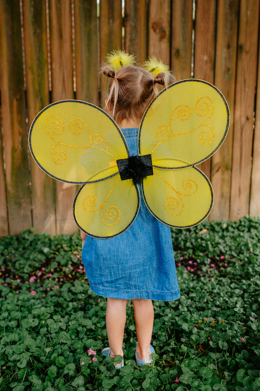 Bumblebee wings & headband