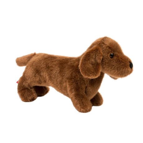 Dachshund dog - Dilly