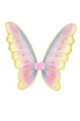 Shimmering wings