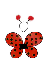 Ailes antennes coccinelle