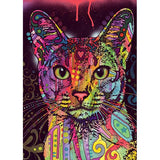 Abyssinian - Jolly pets - 2000 mcx - La Ribouldingue