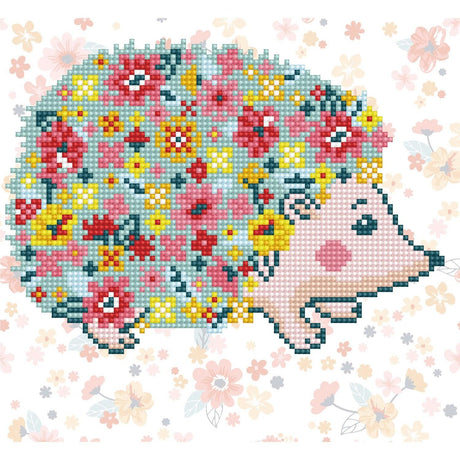 Blossom - Débutant - La Ribouldingue