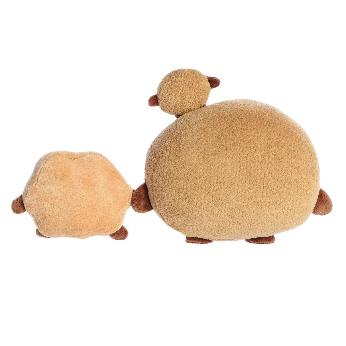 BT21 - Shooky (visage) - 12 po - La Ribouldingue