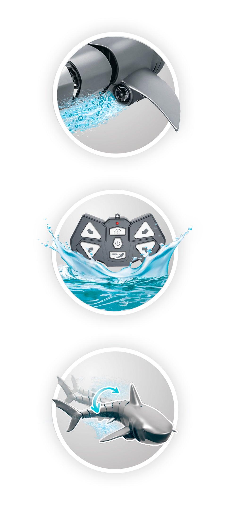 Buki - Requin RC - La Ribouldingue