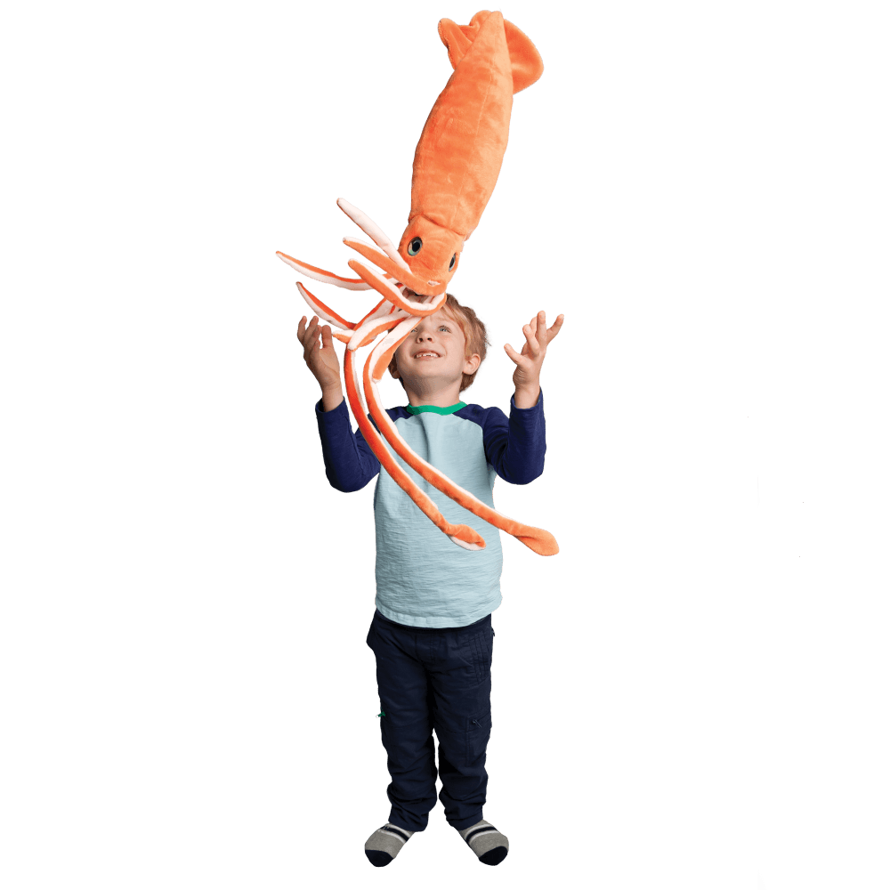 Calamar Jet Stream - La Ribouldingue