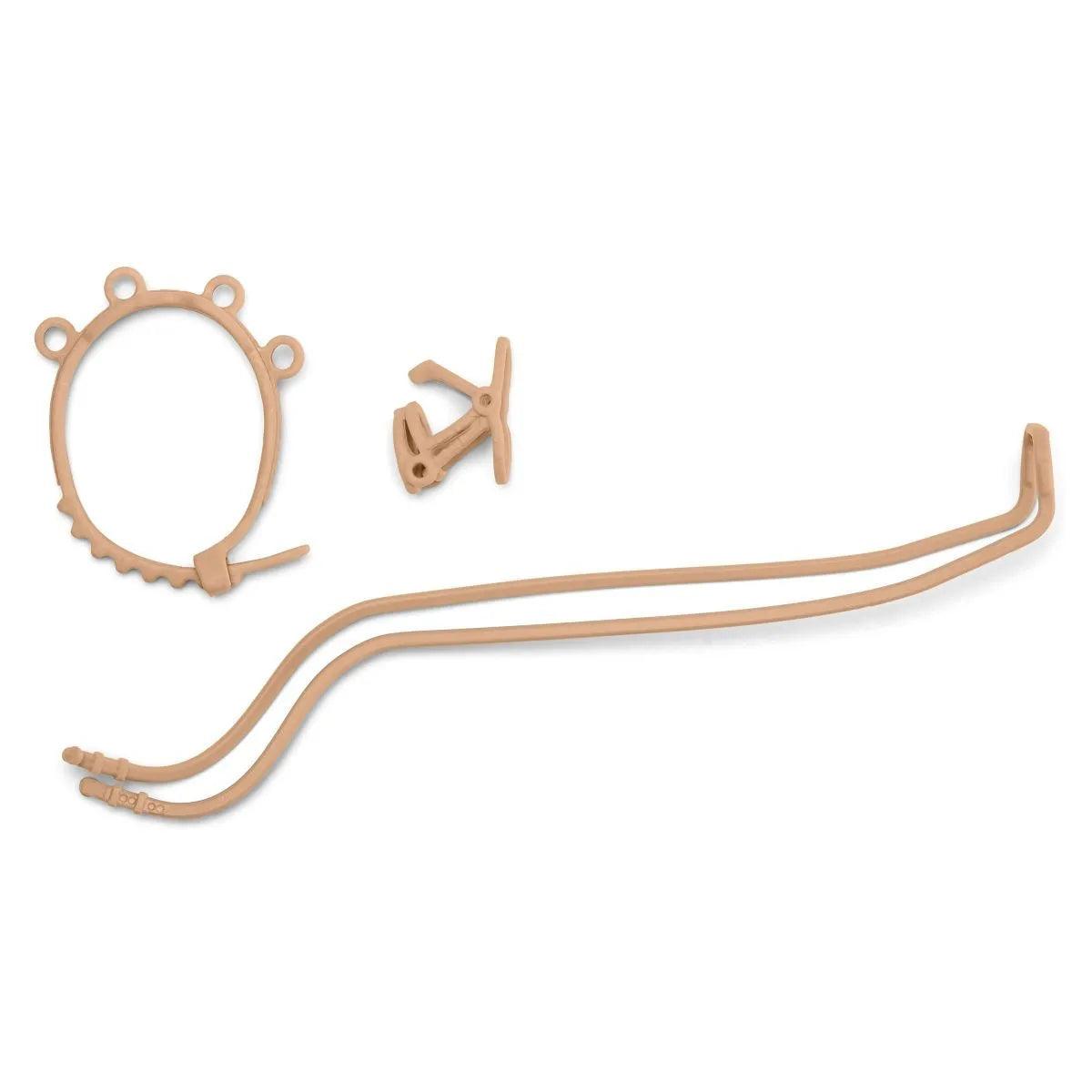 Calèche pour le spectacle équestre - Horse Club - La Ribouldingue