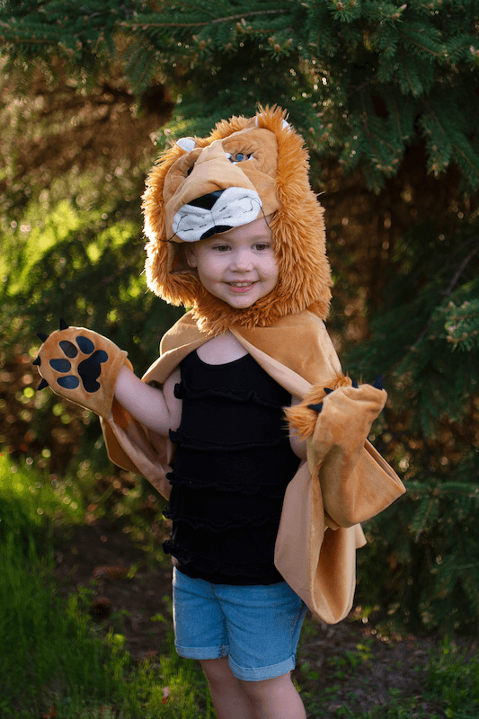 Cape de lion - Storybook - La Ribouldingue