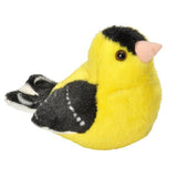 Chardonneret Americain (avec son) - La Ribouldingue