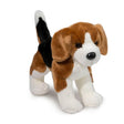 Chien Beagle Bernie - La Ribouldingue
