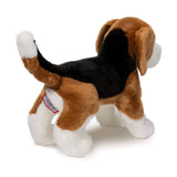 Chien Beagle Bernie - La Ribouldingue