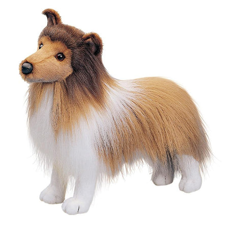 Chien Berger des Shetland Dixie - La Ribouldingue
