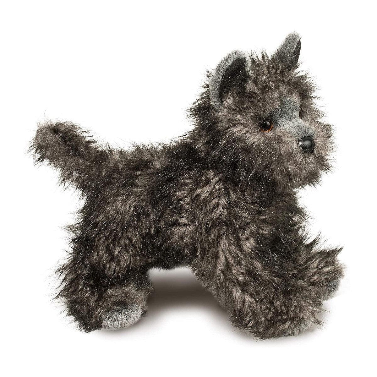 Chien Cairn Terrier Hazel - La Ribouldingue