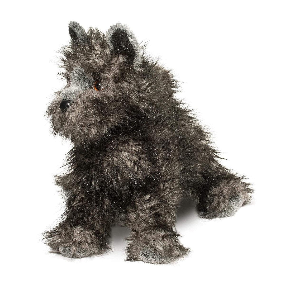 Chien Cairn Terrier Hazel - La Ribouldingue