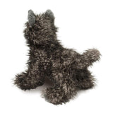 Chien Cairn Terrier Hazel - La Ribouldingue