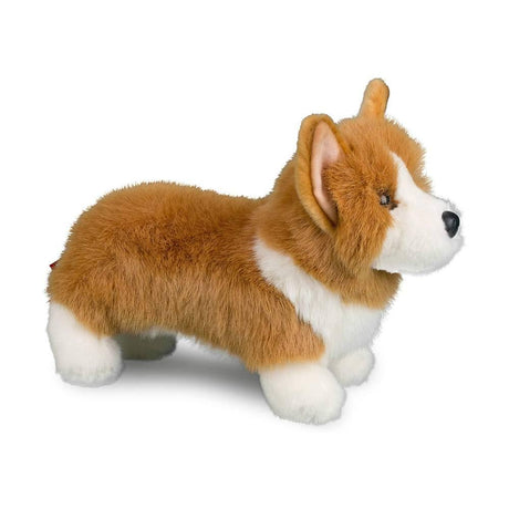 Chien Corgi Louie - La Ribouldingue