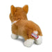 Chien Corgi Louie - La Ribouldingue