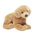 Chien Golden Retriever Honey - La Ribouldingue