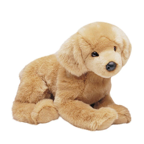Chien Golden Retriever Honey - La Ribouldingue