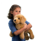 Chien Golden Retriever Oakley - La Ribouldingue