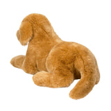 Chien Golden Retriever Sherman - La Ribouldingue