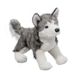Chien Husky Lobo - La Ribouldingue