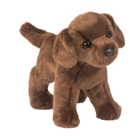 Chiot Labrador Chocolat Tucker - La Ribouldingue