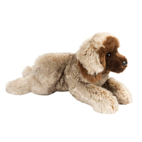 Chiot Leonberger Thor - La Ribouldingue