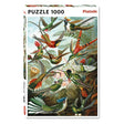 Colibris - Haeckel - 1000 mcx - La Ribouldingue