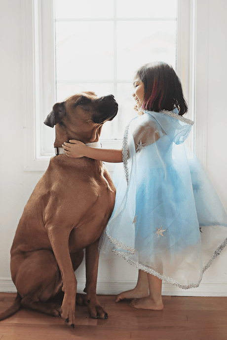 Crystal Queen Cape 3-4 ans - La Ribouldingue