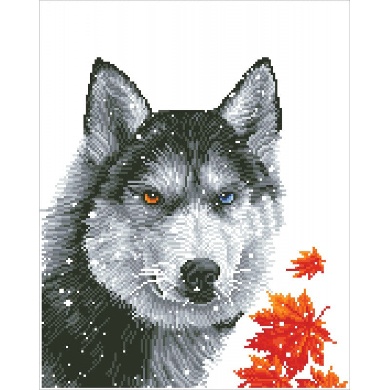 Forest Wolf - Intermédiaire