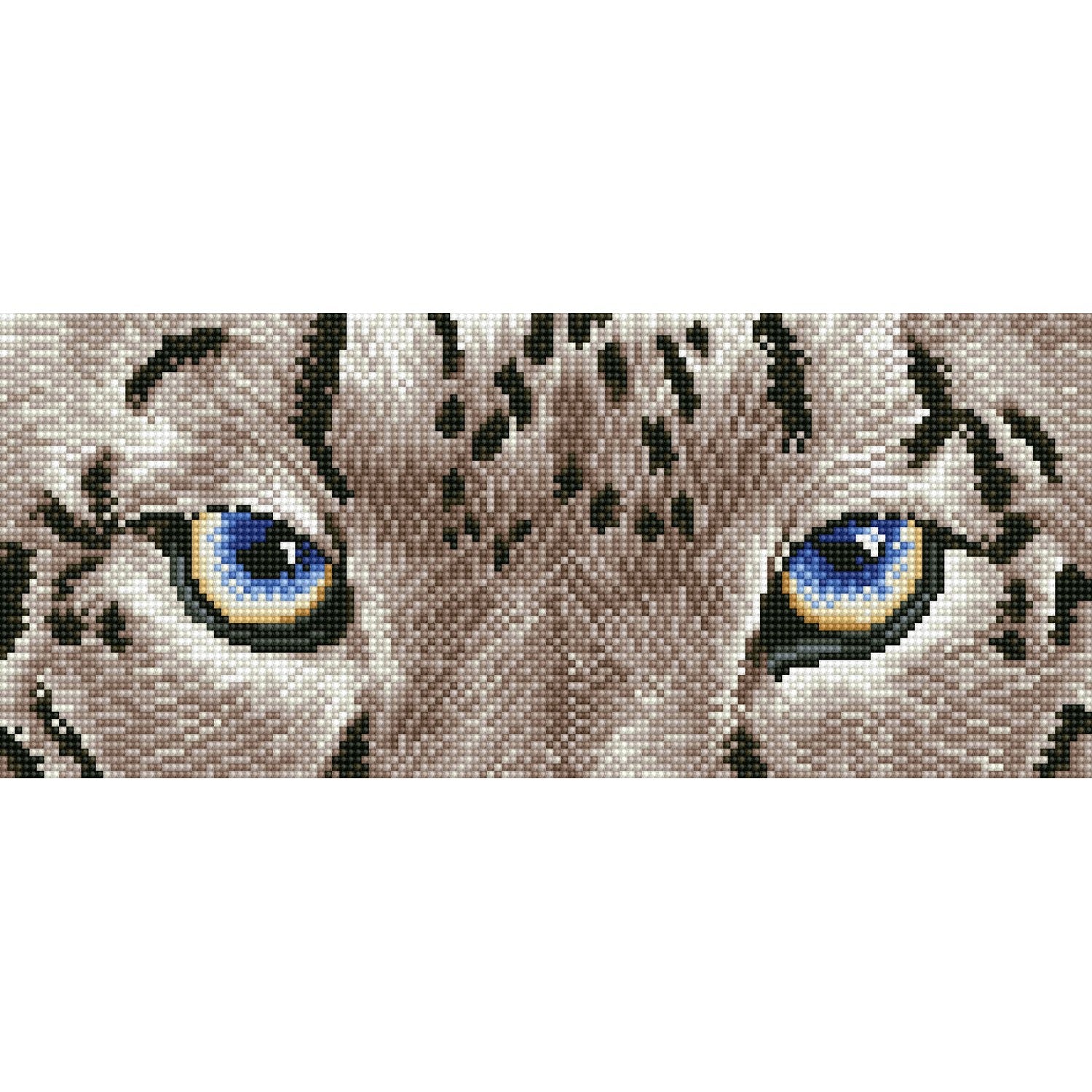 Snow Leopard Spy - Intermédiaire