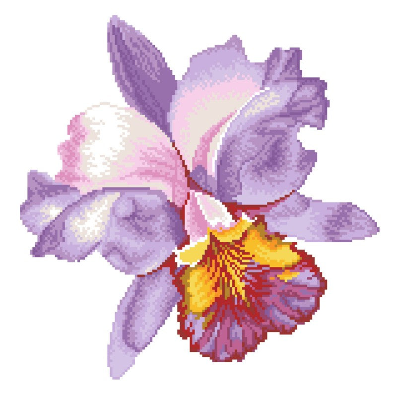 Sparkle Garden Mauve - Intermédiaire