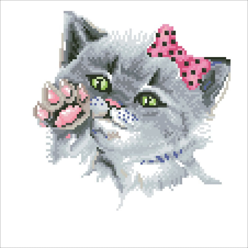Eye Spy Kitty - Intermédiaire