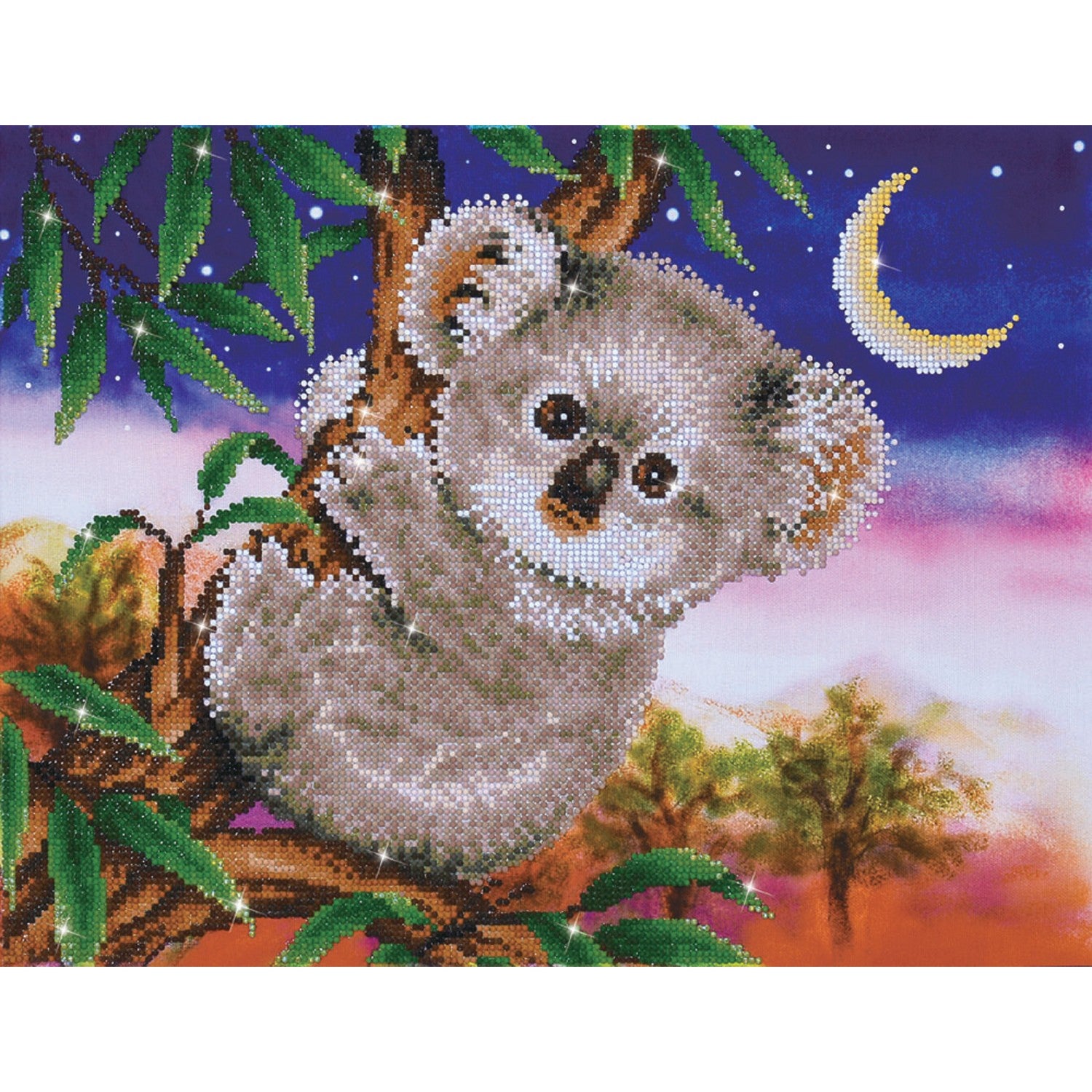 Koala Snack - Intermédiaire