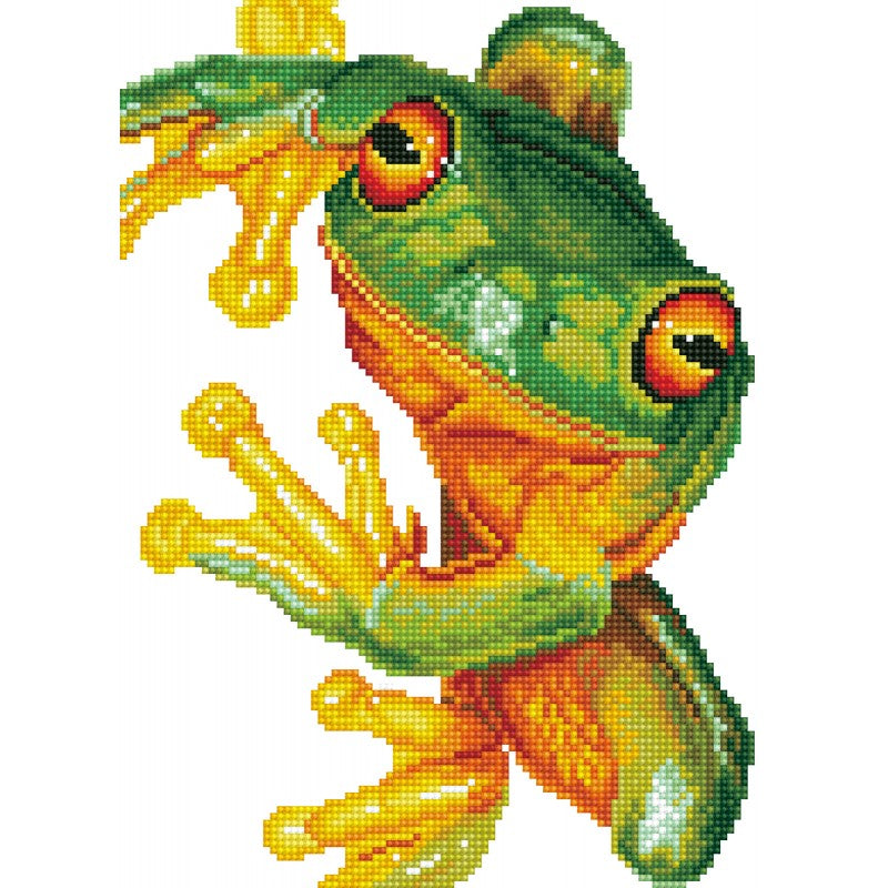 Green Tree Frog - Intermédiaire