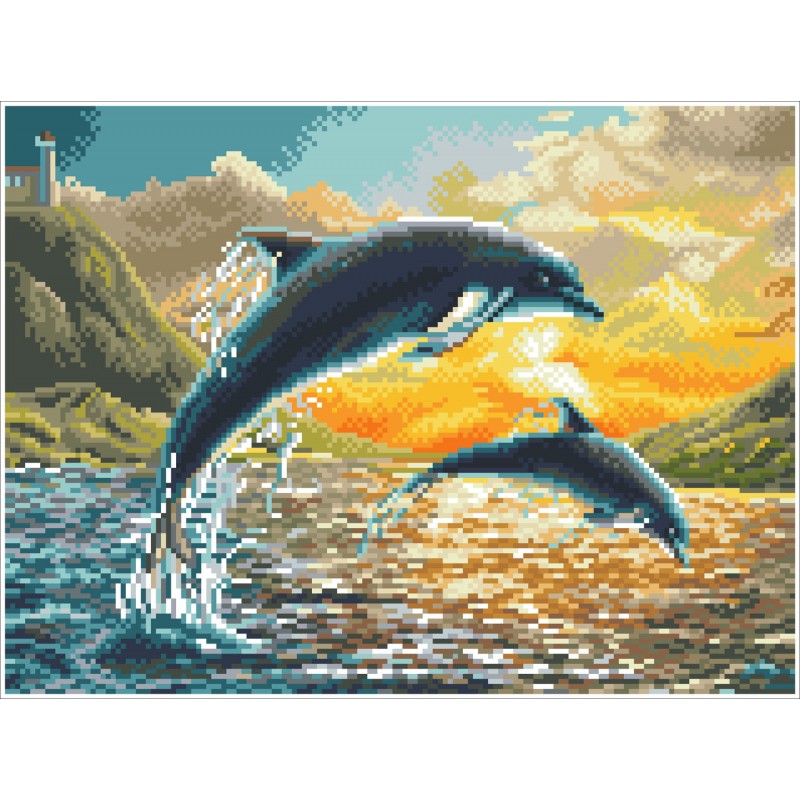 Dolphin Sunset - Intermédiaire Carré