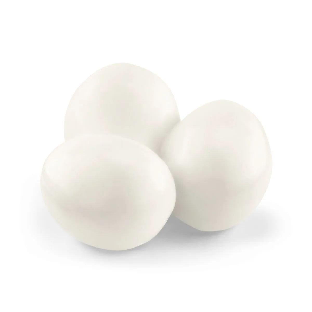 Duel Aligator/Anaconda - Wild Life - La Ribouldingue