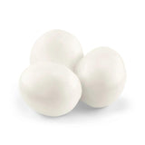 Duel Aligator/Anaconda - Wild Life - La Ribouldingue