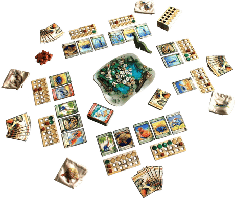 Evolution (Fr) - La Ribouldingue