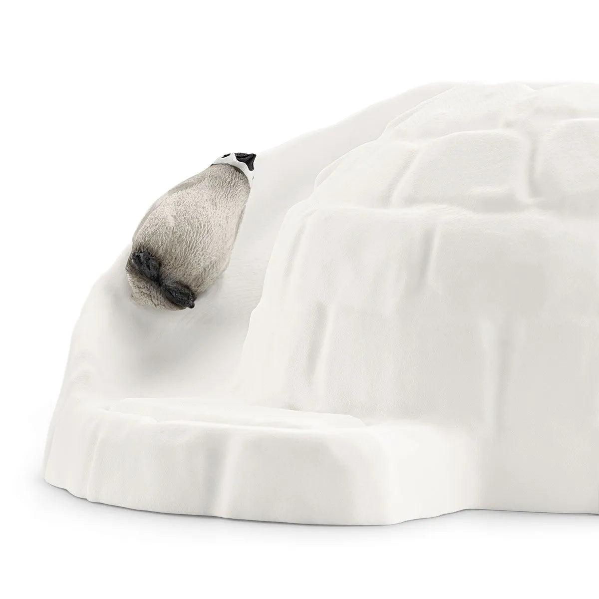 Expédition en Antarctique - Wild Life - La Ribouldingue