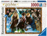 Harry Potter et les sorciers - 1000 mcx - La Ribouldingue