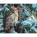 Hibou grand duc - La Ribouldingue