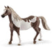 Hongre Paint Horse - La Ribouldingue