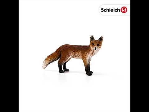 Renard