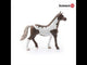 Paint horse gelding