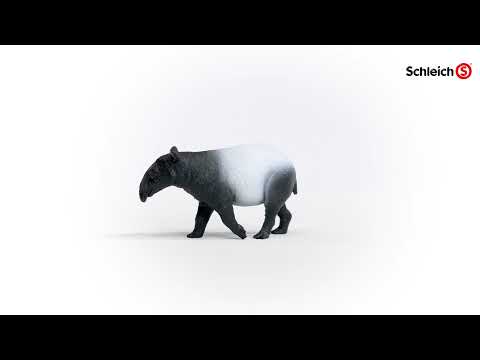 Tapir