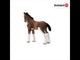 Poulain Clydesdale