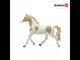 Paint horse mare