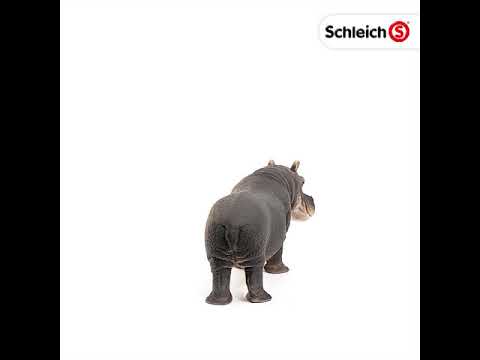 Hippopotame
